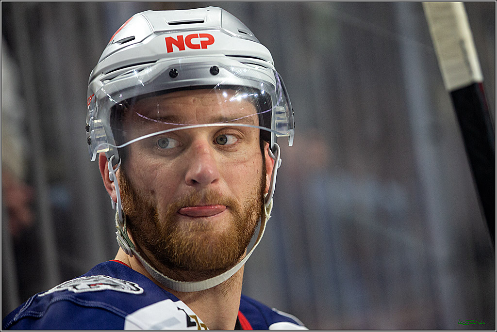 PENNY DEL; Koelner Haie- Nuernberger Ice Tigers; Koeln, 29.01.2023